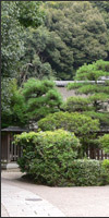 宇治神社、宇治上神社