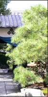 八木邸