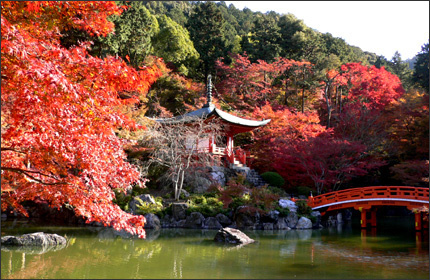 醍醐寺 京都 紅葉の名所