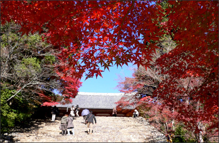 神護寺 京都 紅葉の名所