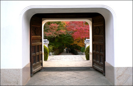 興聖寺 京都 紅葉の名所