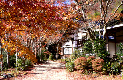 西明寺 京都 紅葉の名所