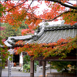 赤山禅院 京都 紅葉の名所01