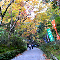 赤山禅院 京都 紅葉の名所02