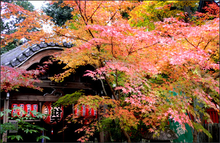 赤山禅院 京都 紅葉の名所