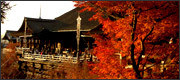 京都の紅葉観光−清水寺−