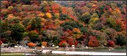 京都の紅葉観光−嵐山−