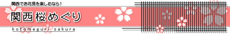 ֐ ߂