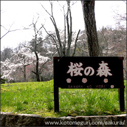 宝ヶ池公園02