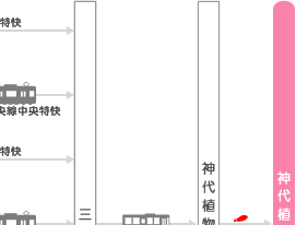 東京 桜の名所 アクセス－神代植物公園02－