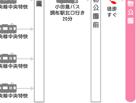 東京 桜の名所 アクセス－神代植物公園04－